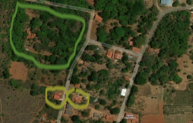 satellite aerial shot of forests and small buildings